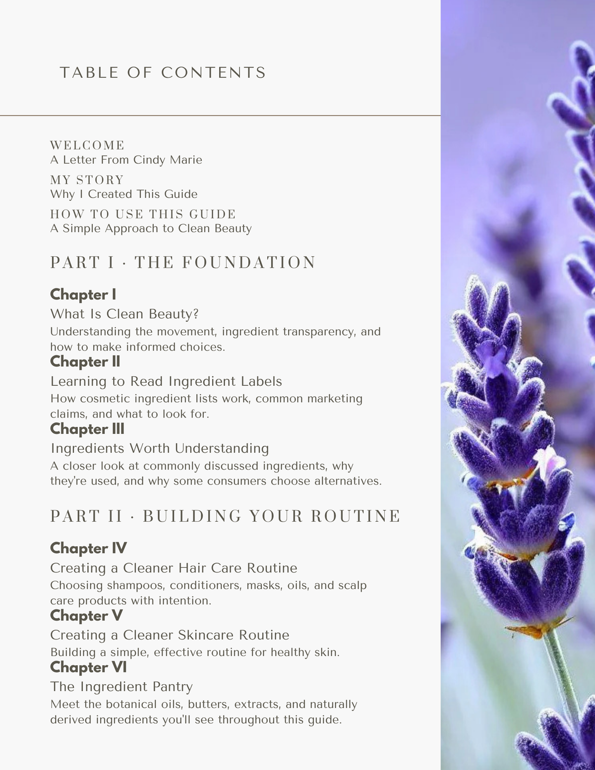 Toxic Beauty Decoder
